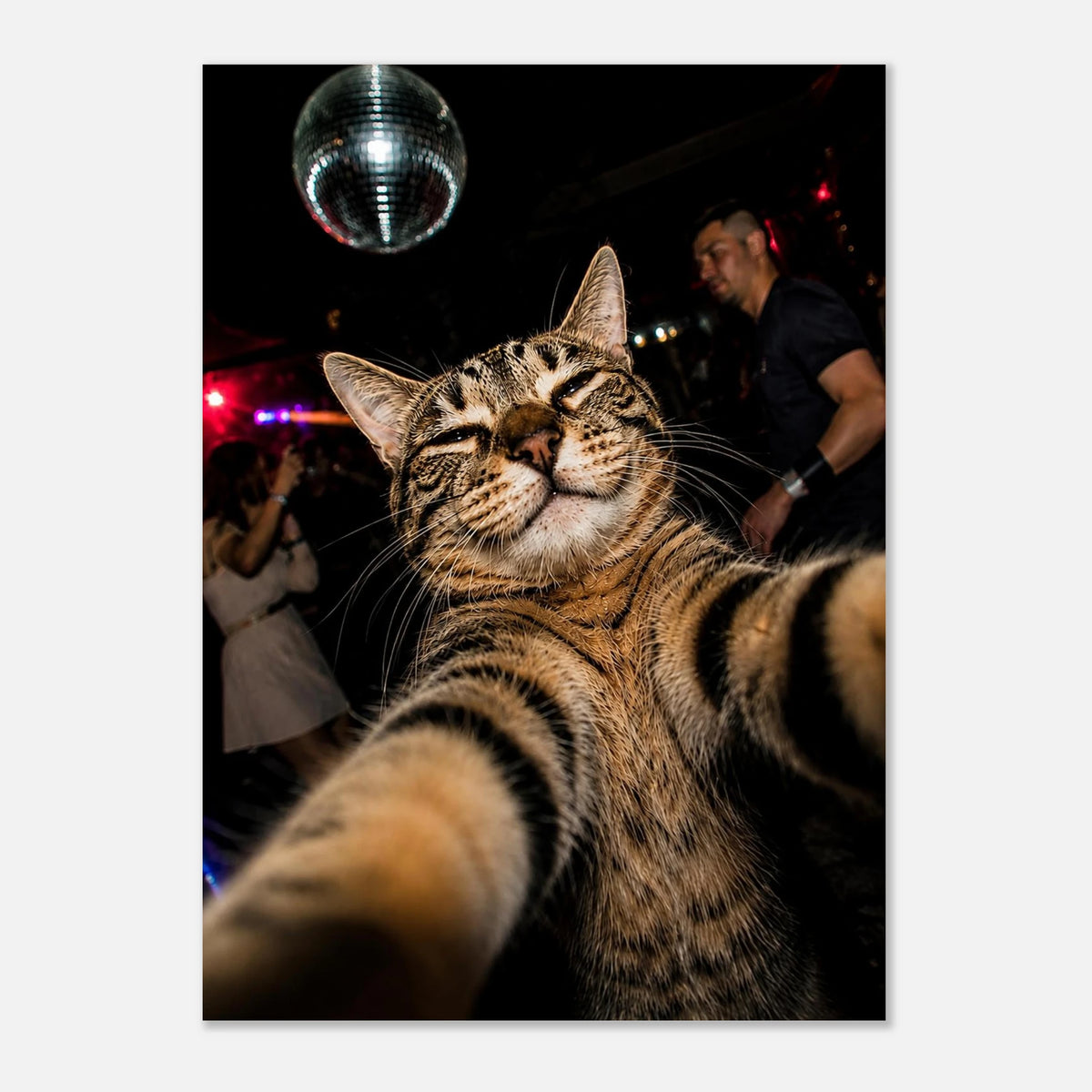 Party Animal — playful cat selfie art print with a disco ball, WallDrip wall art poster