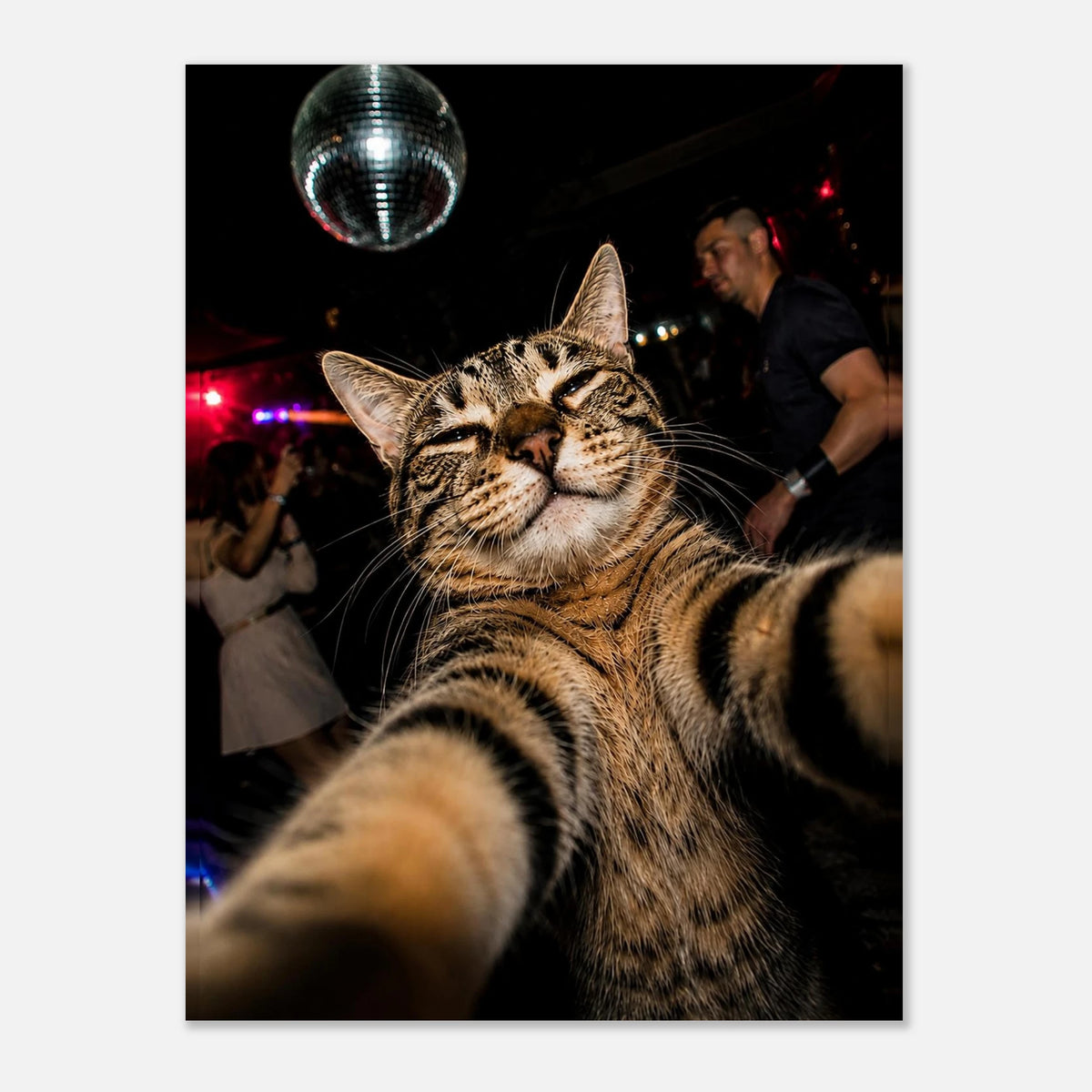 Party Animal — playful cat selfie art print with a disco ball, WallDrip wall art poster