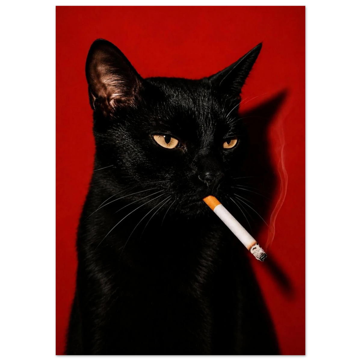 Bad Influence — black cat with a crimson-lit stare, dark aesthetic WallDrip cat art print