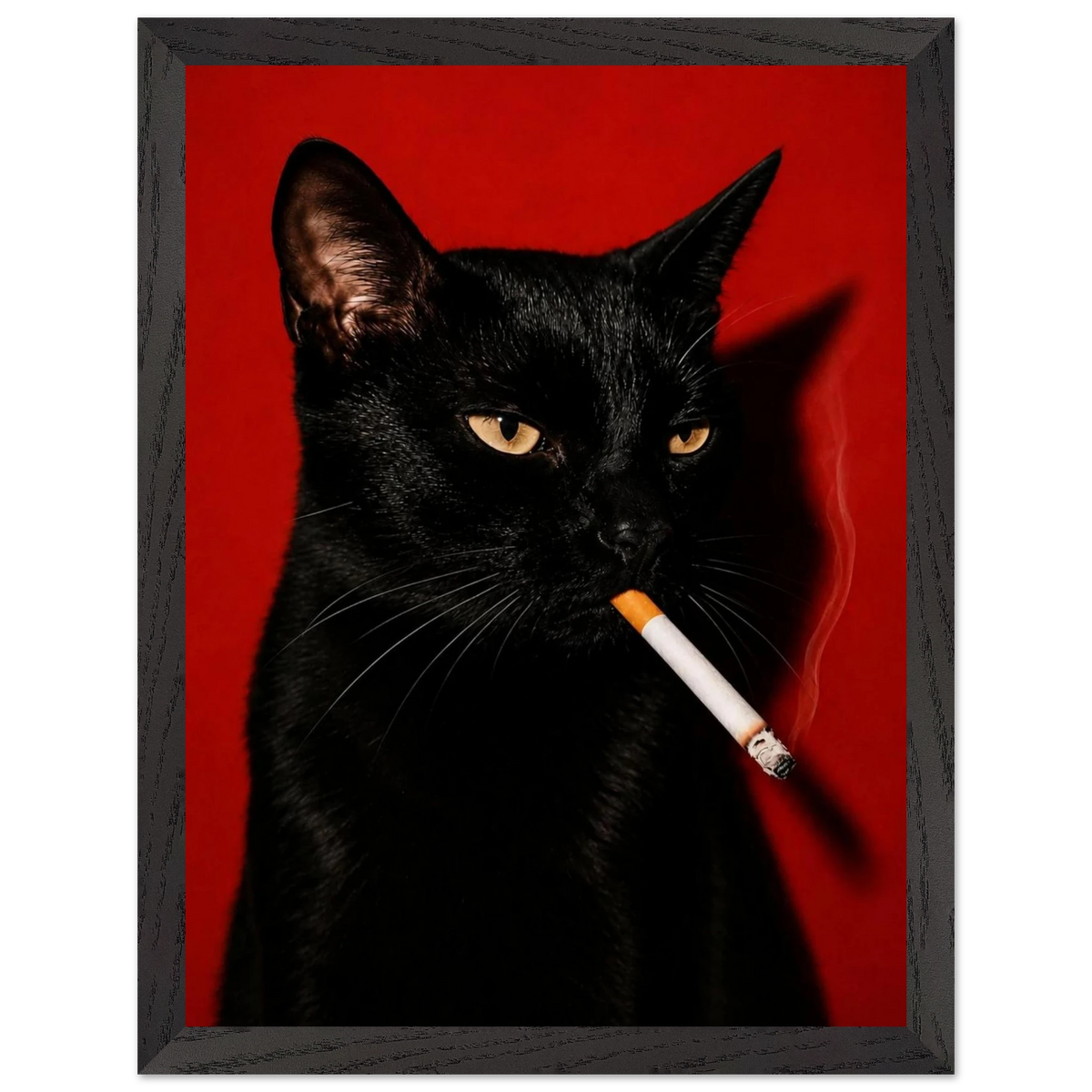 Bad Influence — black cat with a crimson-lit stare, dark aesthetic WallDrip cat art print