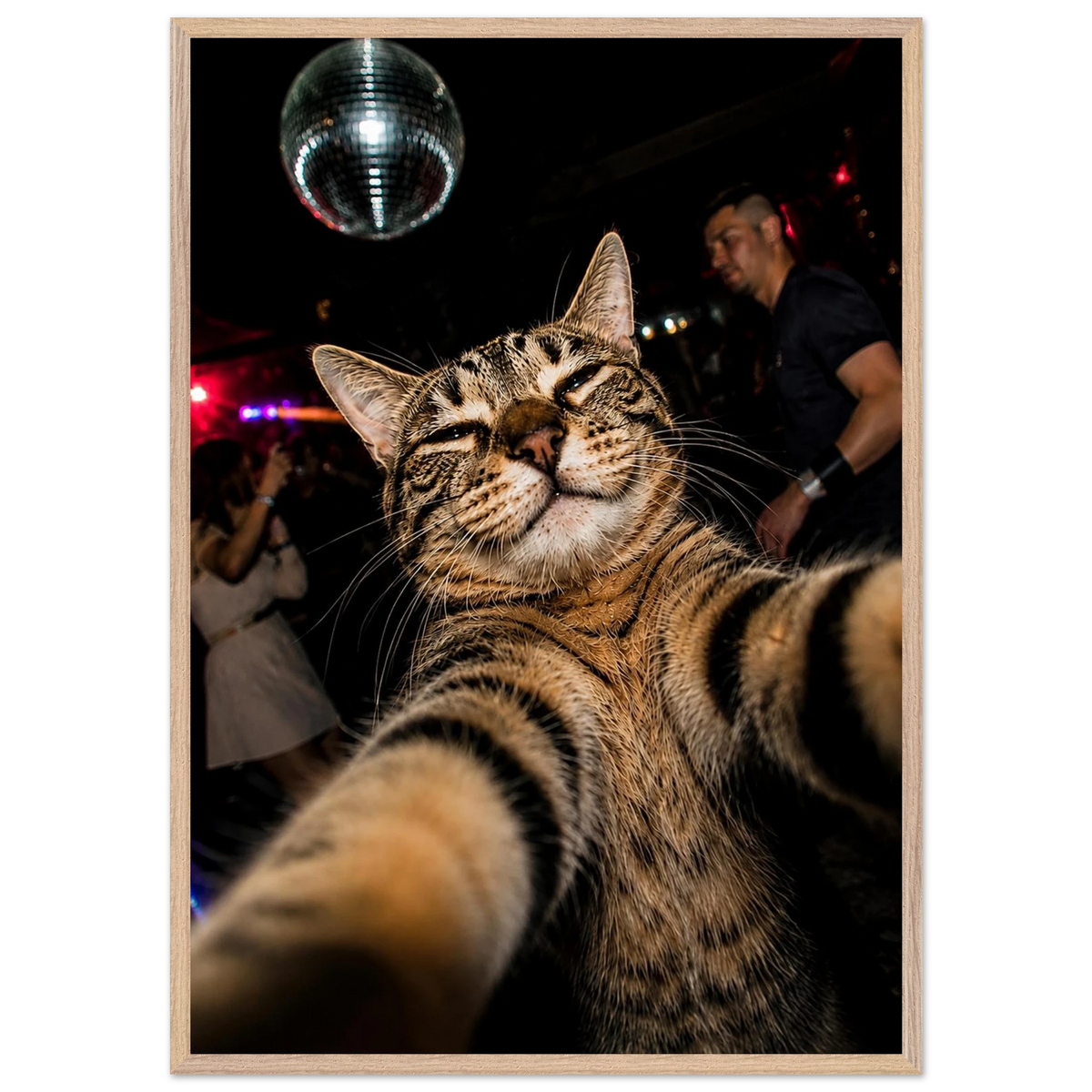 Party Animal — playful cat selfie art print with a disco ball, WallDrip wall art poster