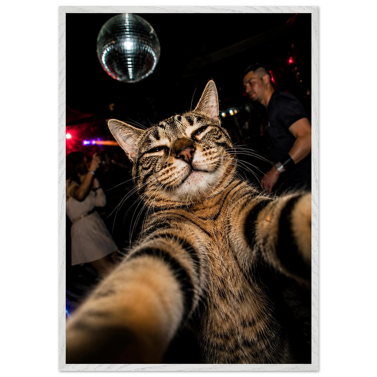 Party Animal — playful cat selfie art print with a disco ball, WallDrip wall art poster